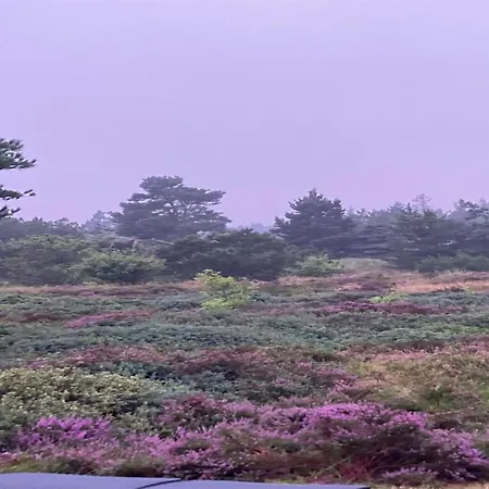 펜션 Andriette - 4-5km From The Sea By Interhome