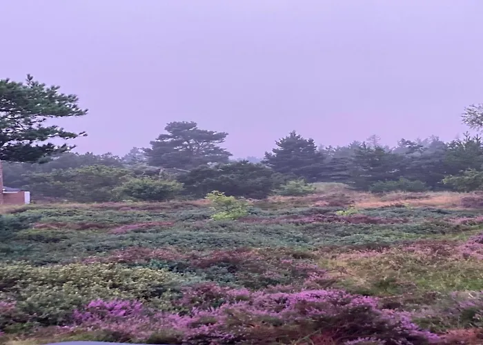 Casa vacanze Andriette - 4-5km From The Sea By Interhome